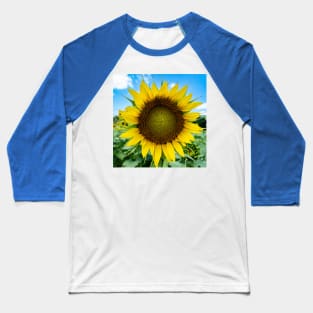 Sun-kissed Sunflower Baseball T-Shirt